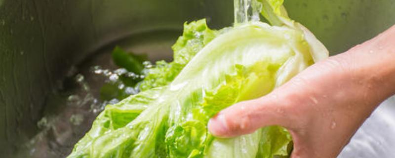 生菜打农药吗，吃前怎么洗怎么处理 生菜打农药吗?
