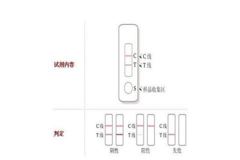 猪瘦肉精检测卡怎么看