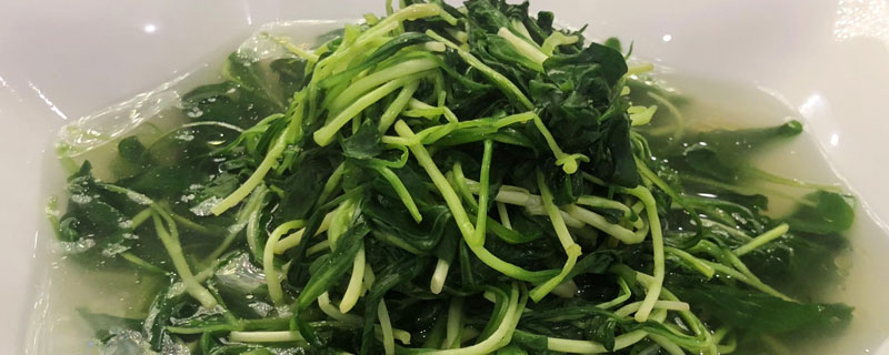 马兰头为什么苦 马兰头为什么很苦