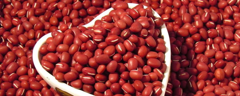 红小豆种植时间和方法（黑龙江红小豆种植时间和方法）
