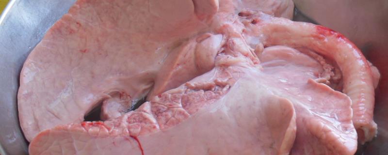 怎么洗猪肺，猪肺吃了有害处吗（怎么样洗猪肺能洗白）