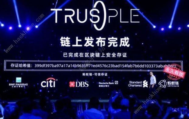 trusple平台怎么用 trusple平台推出的意义[多图]图片1