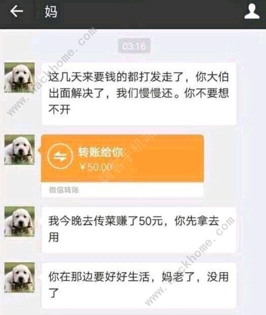 妈妈传菜赚了50元是什么梗 妈妈传菜原贴出处[多图]图片1