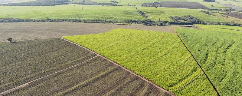 巴西农业特点，发展优势在哪里（巴西的农业特点是什么）