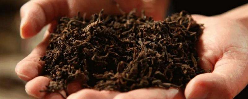 什么是茶叶发酵，附发酵原理 茶叶发酵的原理是什么