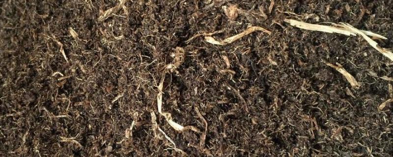 草炭土的成分和特点 草炭土的营养成分