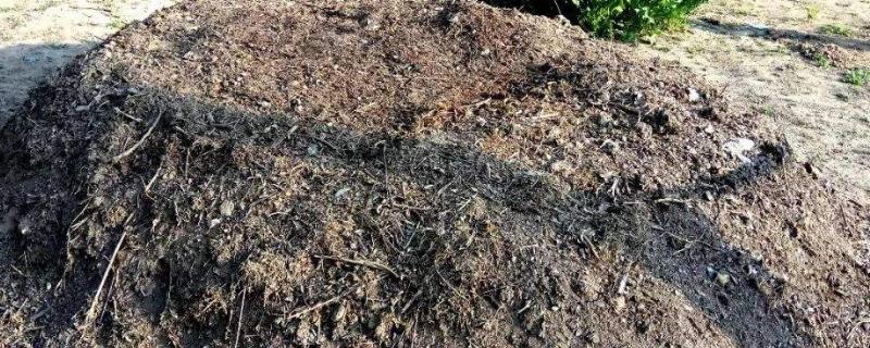 有机肥氮磷钾含量表，总养分怎么算（有机肥氮磷钾含量标准）