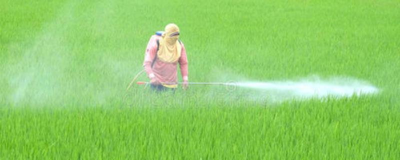 乙基多杀菌素打什么虫，作用特点（乙基多杀菌素的详细介绍）