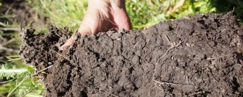 土壤孔隙有哪三种类型（土壤孔隙分为哪几类）