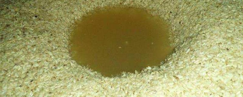 酒糟能做肥料吗 酒糟可以做有机肥料吗