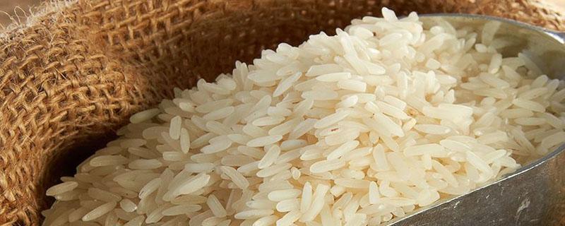 东北大米是水稻还是旱稻 东北大米属于水稻吗