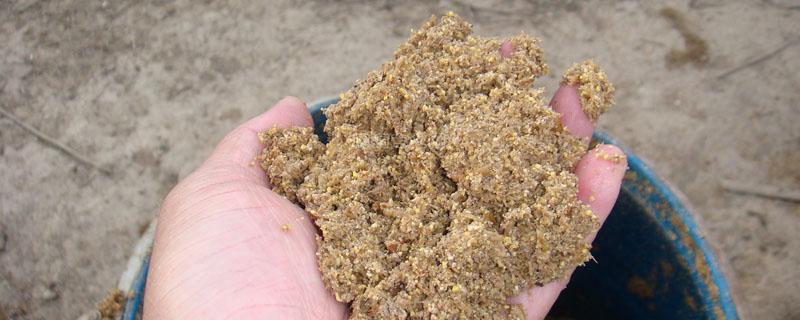 米糠怎么发酵做花肥 米糠种花需要发酵嘛