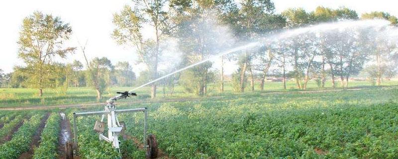 灌溉农业主要分布在 西北地区的灌溉农业主要分布在