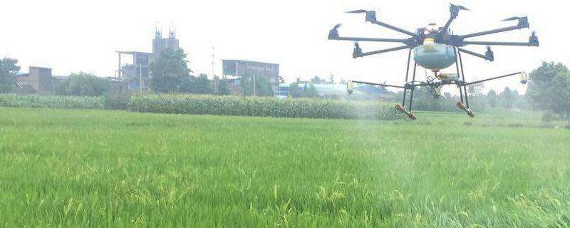 奈安除草剂解药使用方法 奈安除草安全剂