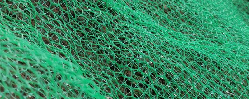 三维网植草护坡做法 三维网植草护坡做法工序