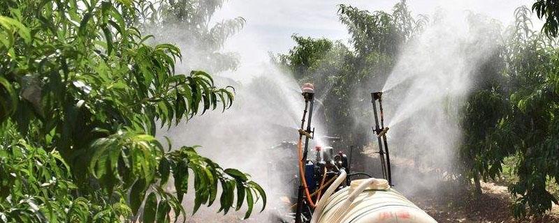 氧化乐果不能打什么树 氧化乐果能打苹果树吗