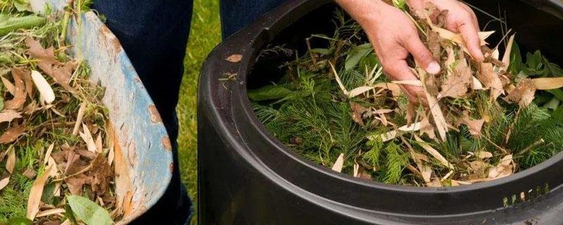 厨余堆肥简单方法（怎样用厨余垃圾堆肥）