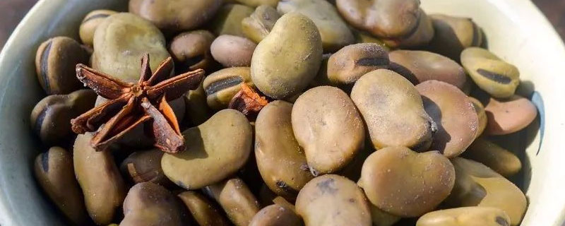 茴香豆是蚕豆吗 茴香豆和蚕豆有什么区别