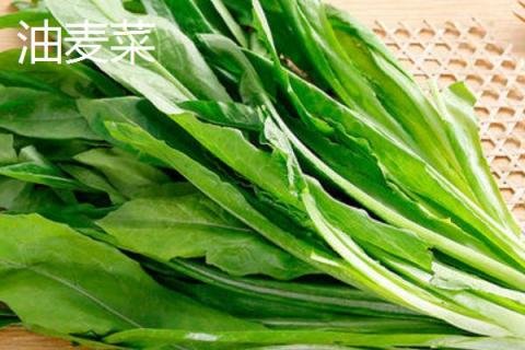 油麦菜和莴笋叶的区别