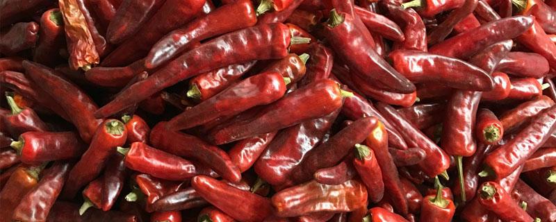 石柱红又名叫什么（石柱红有几个品种）