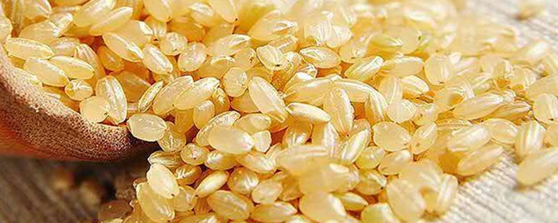 什么是糙米（什么是糙米的功效与作用）