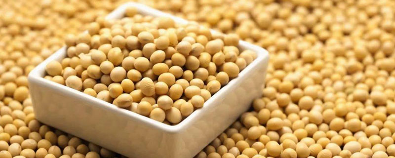 大豆沤肥的方法 大豆沤制有机肥