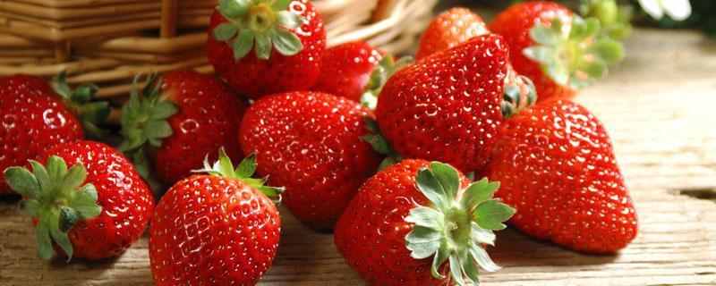 草莓匍匐茎要不要剪掉 怎样修剪草莓的匍匐茎