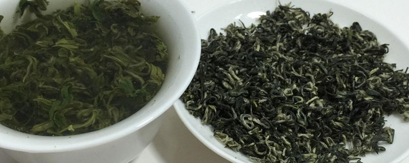 绿茶怎么分辨好坏 怎么辨别绿茶的好坏