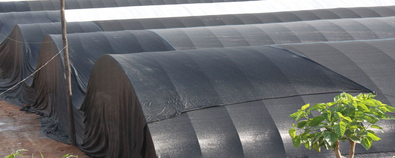 卫星拍到的养殖棚必须拆吗（卫星拍到的养殖棚必须拆吗2020）