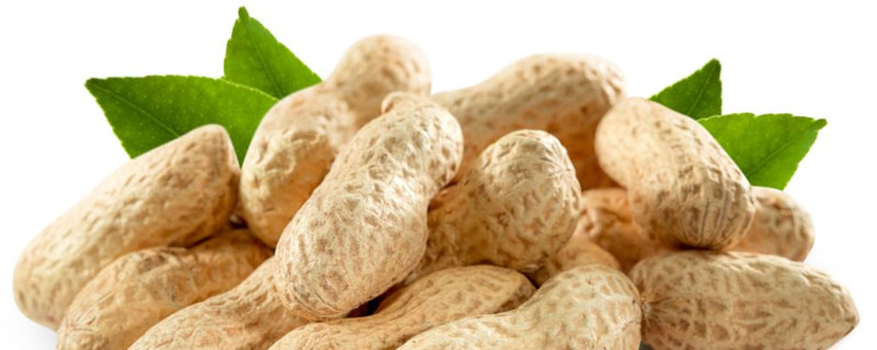 噻呋酰胺治花生白绢病（花生白绢病用药）