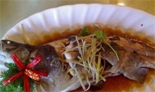 虹鳟鱼百科（虹鳟鱼是什么样的）
