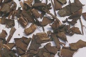 肿节风 肿节风的别名叫什么