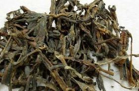 地龙 地龙蛋白肽