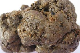 蜂胶 蜂胶是怎么形成的