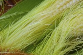 玉米须的功效与作用,玉米须的功效,玉米须的作用