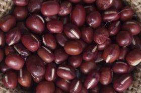 赤小豆（赤小豆和薏米的功效）