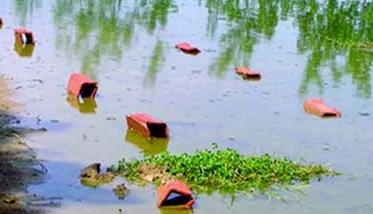 龙虾养殖池消毒的常用方法 小龙虾池塘消毒方法