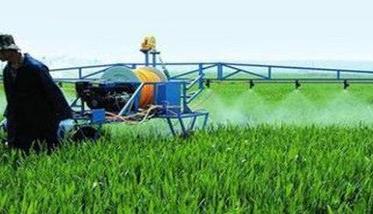 合理使用植物生长调节剂，防止小麦倒伏的方法