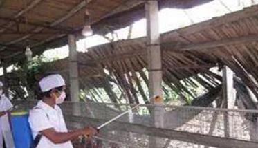 养禽场如何消毒（养禽场如何消毒杀菌）