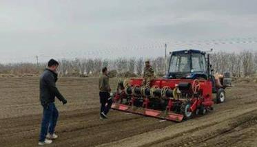 春小麦什么时候播种（河北春小麦什么时候播种）