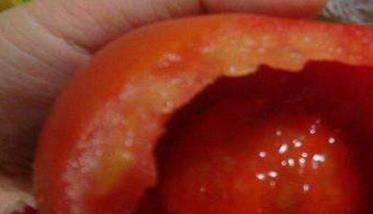 西红柿烂果是什么病 西红柿烂果是什么病虫害