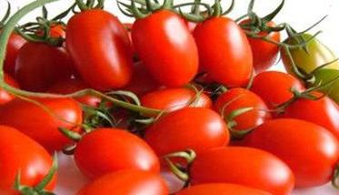 圣女果和西红柿的区别在哪里 圣女果和西红柿是一种水果吗