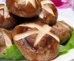 香菇的功效与作用及食用禁忌有哪些 香菇的功效与作用及食用禁忌有哪些图片