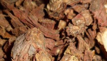 丹参种植方法