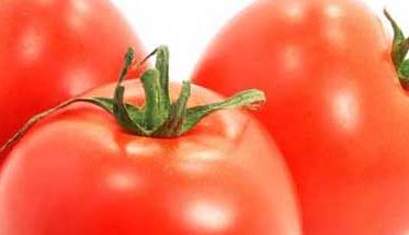西红柿的营养价值及作用功效（西红柿的营养价值及功效与作用）