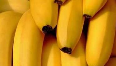 香蕉种植技术