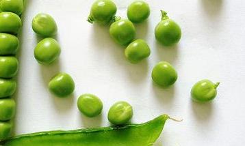 豌豆的营养价值和营养成分 豌豆的营养与价值