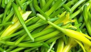 怎样栽培金针菜，金针菜种植方法（金针菜怎么种植）