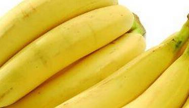 香蕉种植方法
