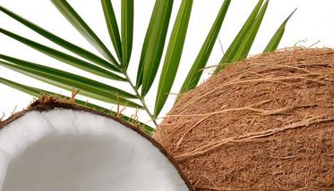 椰子的营养价值与功效有哪些 椰子的营养功效与作用